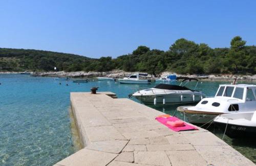 Artatore Apartment | Apartmani Anisa