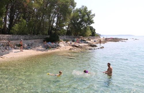 Artatore Apartment | Apartmani Anisa