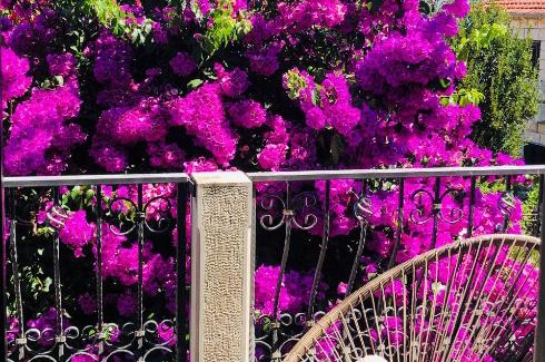Supetar Apartment | Apartmani Bepina