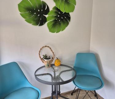 Leskovac Apartment | Apartmani Bubamara Leskovac