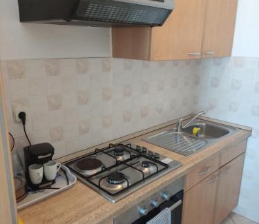 Putnikovic Apartment | Apartmani Dubravko