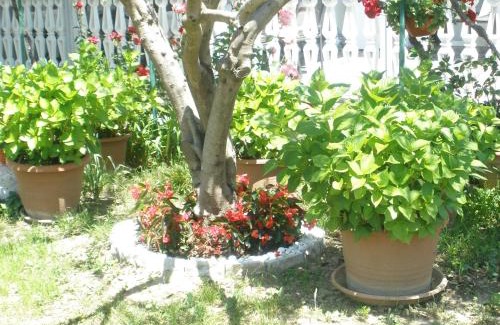 Palit House | Apartmani i sobe Mara