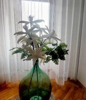 Cres Apartment | Apartmani Milenko Lubenice