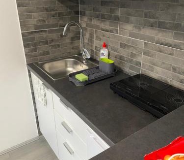 Palic Apartment | Apartmani Mira