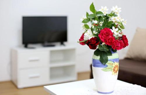 Gornji Karin Apartment | Apartmani Mlinar9 #1