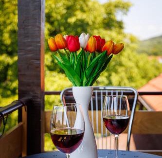 Golubac Apartment | Apartmani Nina