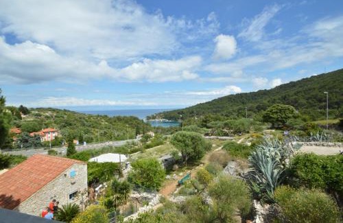 Cove Murtar Apartment | Apartmani Raić