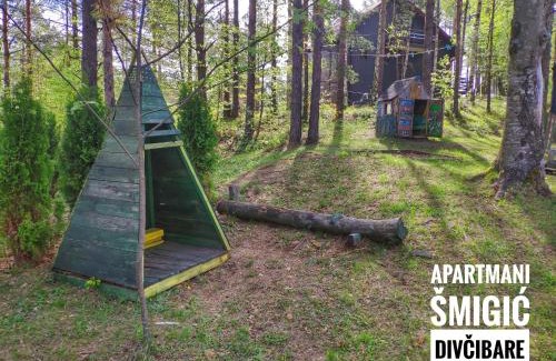Divcibare Cabin | Apartmani Smigic Divcibare