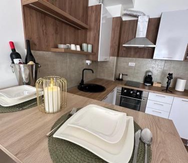 Kragujevac Apartment | Apartmani Stanic