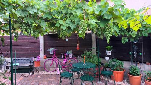 Agfalva Apartment | Apartmann Orakulum