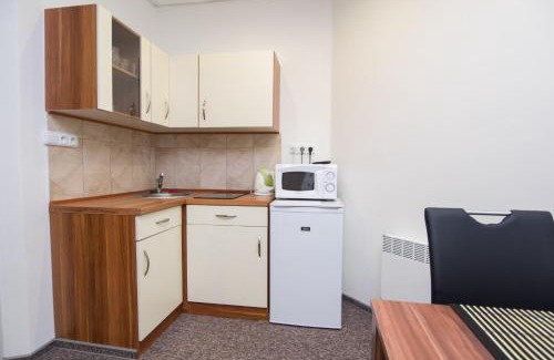 Karlovy Vary Apartment | Apartmany Anna Nicole
