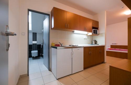 Cervena Voda Apartment | Apartmany ve Skiresortu Bukova hora