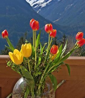 Schonbach Apartment | Apartment Prossegger