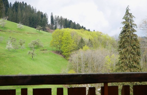 Bad Peterstal-Griesbach Apartment | Apartment 'Nr 1' with Shared Garden, Balcony and Wi-Fi