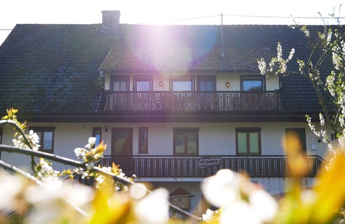 Bad Peterstal-Griesbach Apartment | Apartment 'Nr 1' with Shared Garden, Balcony and Wi-Fi