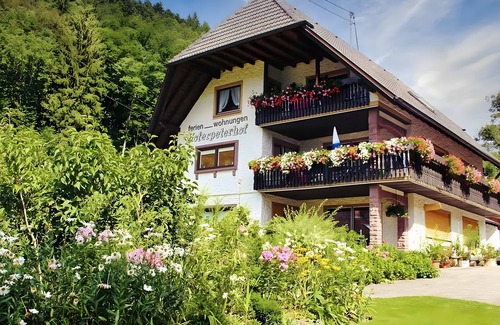 Bad Peterstal-Griesbach Apartment | Apartment 'Leibgedinghaus 1 Og' with Mountain View, Shared Terrace and Wi-Fi