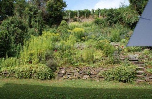 Bad Neuenahr-Ahrweiler Apartment | Apartment "Schlott" - Guesthouse on the vineyard (Winery Lingen)
