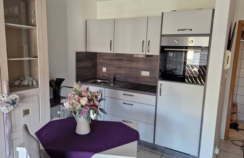 Radolfzell am Bodensee Apartment | Apartment 'Casa Di Napolitano 2' with Balcony and Wi-Fi