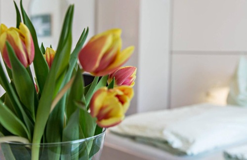 Rielasingen-Worblingen Apartment | Apartment 4 in Apartment House “Aach Apart” near Lake Constance with Wi-Fi