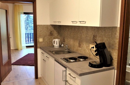 Triberg im Schwarzwald Apartment | Apartment Bergblick in an idyllic location on the edge of the forest, 5 min. to the waterfall