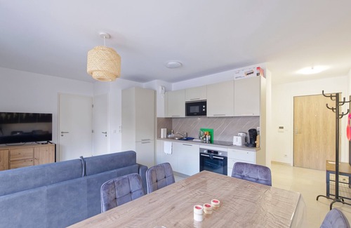 Saint-Etienne-de-Tinee Apartment | Apartment mont d'Auron