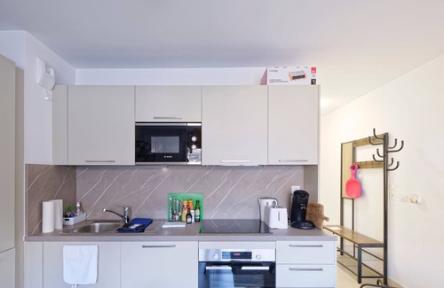 Saint-Etienne-de-Tinee Apartment | Apartment mont d'Auron