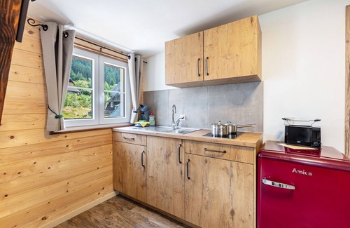 St. Blasien Apartment | Apartment '1' with Mountain View, Balcony and Wi-Fi