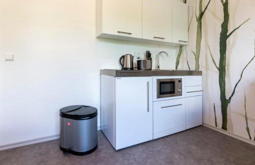 Stockach Apartment | Apartment 11