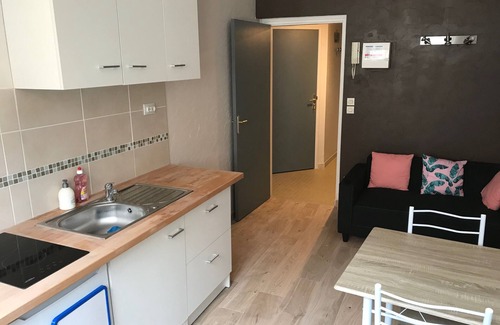Ville Haute Apartment | Apartment 2 adults 2 children in the old town by La Source d'OrFée