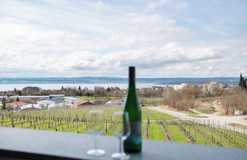 Meersburg Apartment | Apartment '4 Zimmer Ferienwohnung Strobel' with Shared Garden, Balcony and Wi-Fi