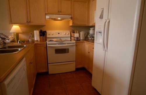 Canmore Apartment | Apartment 406, Indigenous Artefacts