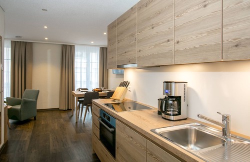 Laufenburg Apartment | Apartment 55m² ground floor - comfort - terrace - near hotel