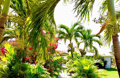 Runaway Bay Apartment | Apartment 6 : Beachfront 2-Bedroom Apartment