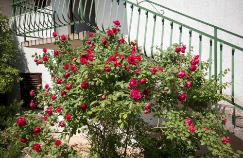 Supetar Apartment | Apartment Alana