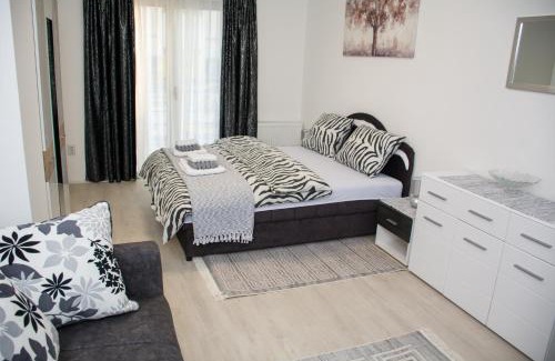 Valjevo Apartment | Apartment ALEKSANDAR Valjevo