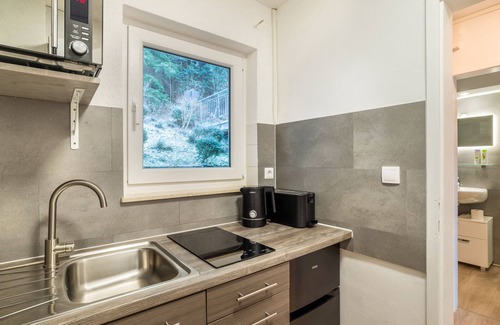 Bad Liebenzell Apartment | Apartment 'Am Hochwald Mit Burgblick' with Balcony
