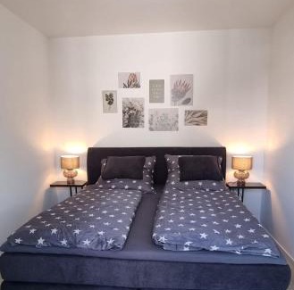 Weyhausen Apartment | Apartment am Mühlenteich