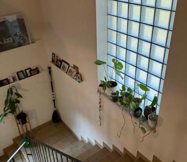 Steinerberg Apartment | Apartment am Ponyhof
