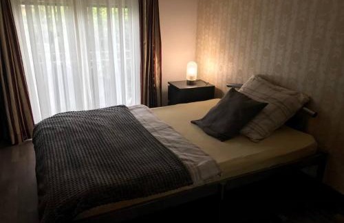 Weiherhammer Apartment | Apartment am See