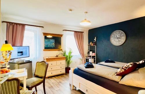Malterdingen Apartment | Apartment Amelie - Zimmer mit TV, W-Lan, Mikrowelle und Kühlschrank, Bad mit Dusche