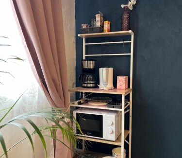 Malterdingen Apartment | Apartment Amelie - Zimmer mit TV, W-Lan, Mikrowelle und Kühlschrank, Bad mit Dusche