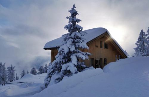 Riederalp Apartment | Apartment Amiel EG Süd by Interhome