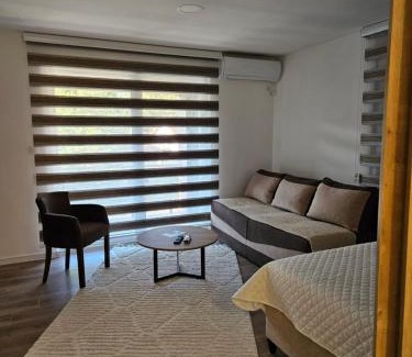 Donje Polje Apartment | Apartment Anita Cetinje 2