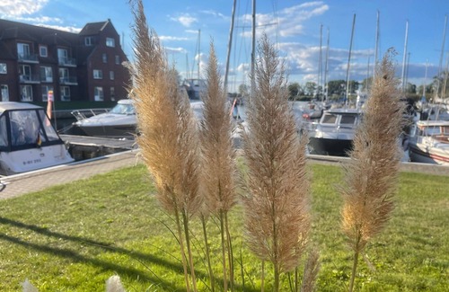 Ueckermuende Apartment | Apartment/apartment for 6 guests with 61m² in Ueckermünde (163960)