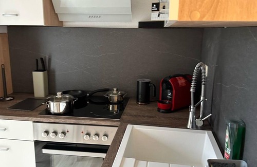 Plauen Apartment | Apartment 'Appartmenthaus - 5 Fewos' with Private Garden, Balcony and Wi-Fi