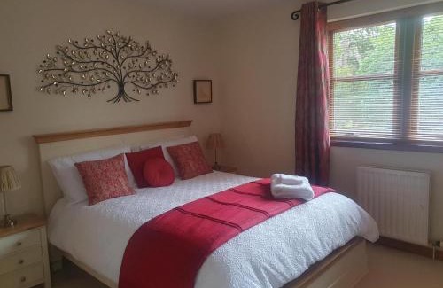 South Galson Apartment | Apartment at Drummond Crescent