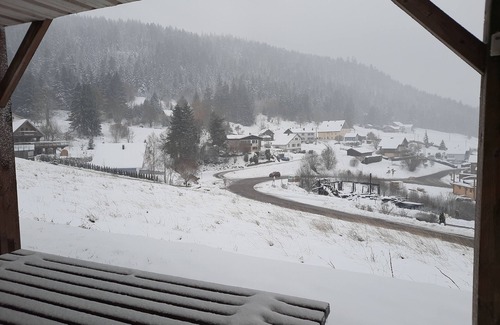 Gerardmer Apartment | Apartment at the foot of the slopes and hiking and trail trails -Mauselaine
