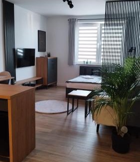 Pradnik Bialy Apartment | Apartment Between
