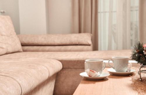 Banja Koviljaca Apartment | Apartment Boskovic