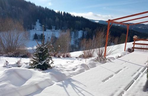 Kasperske Hory Apartment | Apartment Brusinka